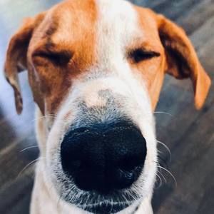 Meet your Posher, Jeff